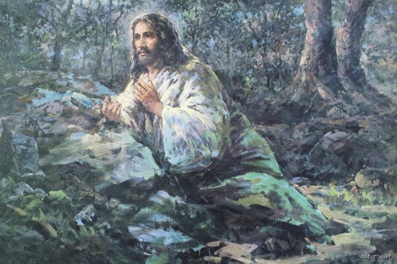 Pourquoi Jésus prie-t-il la nuit ? Les secrets d’une solitude nocturne qui a bouleversé l’histoire de la spiritualité chrétienne