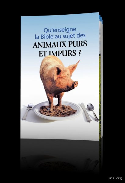 Pourquoi les crevettes sont-elles considérées comme impures dans la Bible ? Enquête sur les racines d'un interdit alimentaire millénaire
