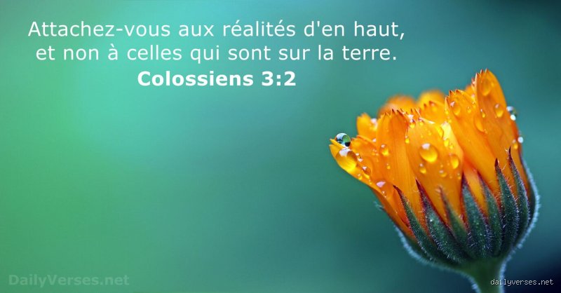 Que dit la Bible à propos du Qi ? Entre souffle vital chrétien et flux d'énergie asiatique