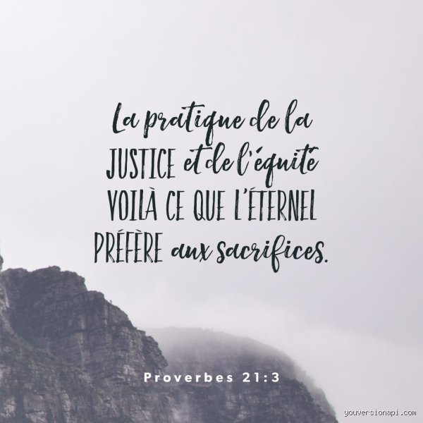 Que dit la Bible sur l’équité et l’égalité : une analyse théologique et sociale pour comprendre les nuances d’un texte millénaire