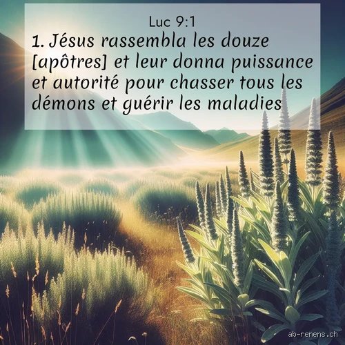 Pourquoi l'énigmatique parole "Celui qui n'est pas contre vous est pour vous" dans Luc 9:50 reste-t-elle un défi pour les chrétiens aujourd'hui ?