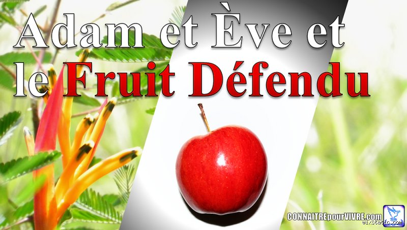 Quel est le fruit défendu par Dieu ? La vérité derrière le mythe