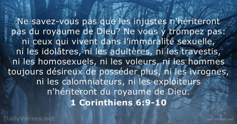 Quel verset biblique parle de la nudité ? Le guide complet pour comprendre la vision théologique et historique