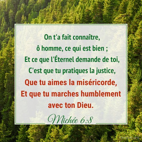 Quelle est la définition biblique de l'équité et pourquoi notre vision moderne de l'égalité fait fausse route ?