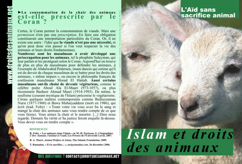 Quels sont les animaux qu'on a pas le droit de manger en islam ?