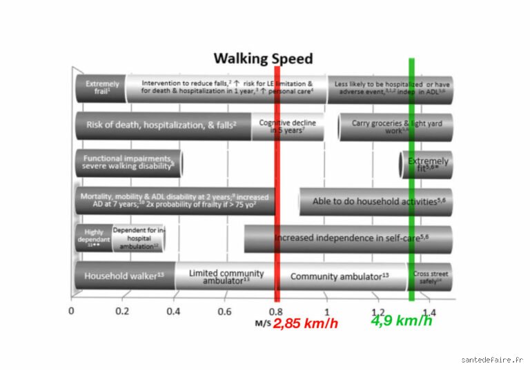 À combien de km/h correspond une marche normale ? Le guide complet pour enfin comprendre votre propre allure