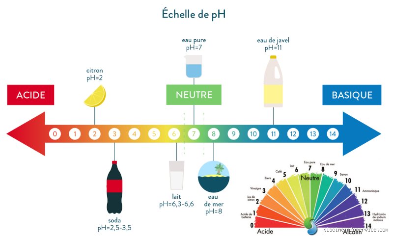 À quel moment de la journée le pH est-il le plus bas : l'influence insoupçonnée du rythme circadien sur votre équilibre acide-base