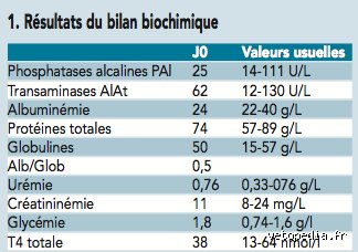 Anémie sévère à partir de combien ? Le guide complet sur les seuils d’alerte et les réalités biologiques