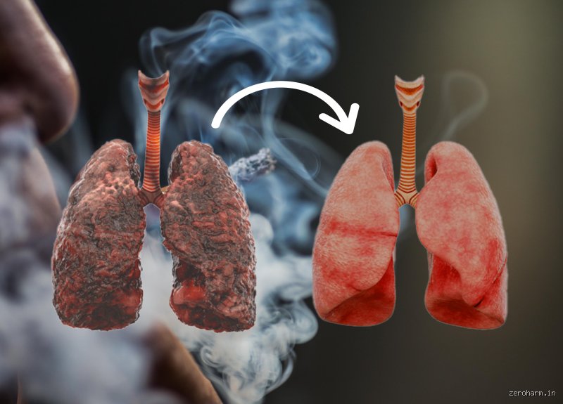 Les poumons peuvent-ils vraiment récupérer à 100 % après des années de tabagisme ? La vérité médicale sans filtre