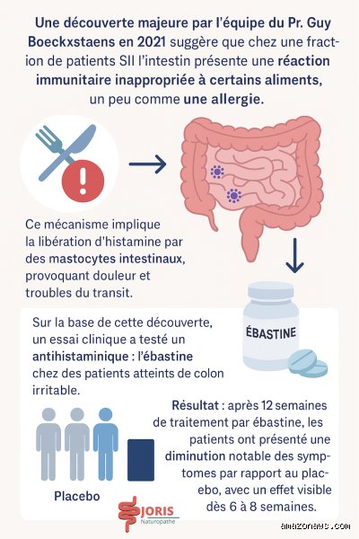 Côlon irritable c'est grave ? Comprendre enfin si vos douleurs intestinales cachent une menace réelle ou un simple bug mécanique