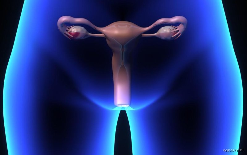 Combien de centimètres une femme peut-elle y insérer ? Tout savoir sur l'anatomie et la réélasticité du canal vaginal
