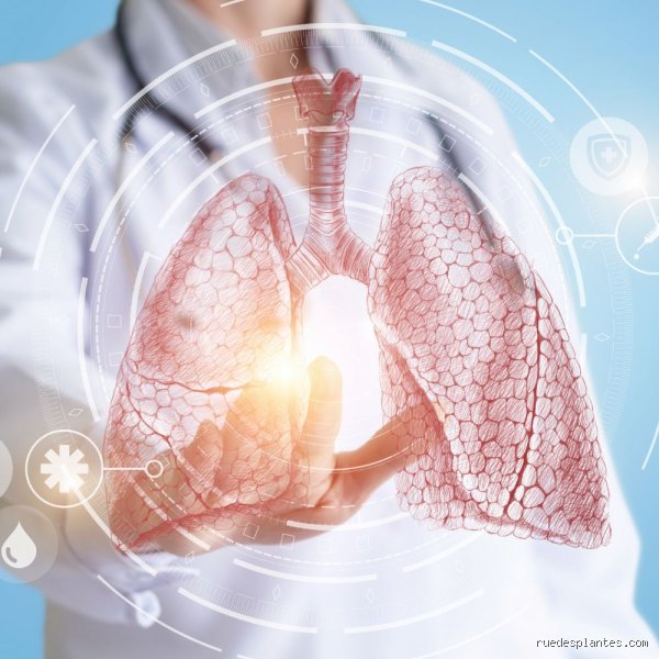 Combien de jours faut-il pour détoxifier les poumons ? La vérité brute sur le temps de régénération respiratoire
