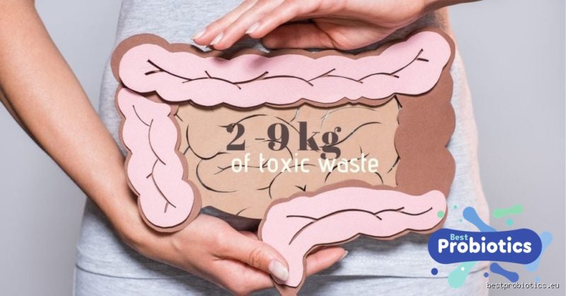 Combien de kilos de déchets vos intestins peuvent-ils contenir : la vérité scientifique derrière les mythes du transit