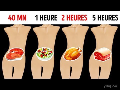 Combien de temps faut-il pour digérer un comprimé dans un estomac vide ? Le guide complet sur la cinétique des médicaments