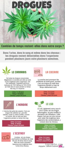 Combien de temps les stupéfiants restent-ils dans le sang ? La vérité sur les délais de détection réels