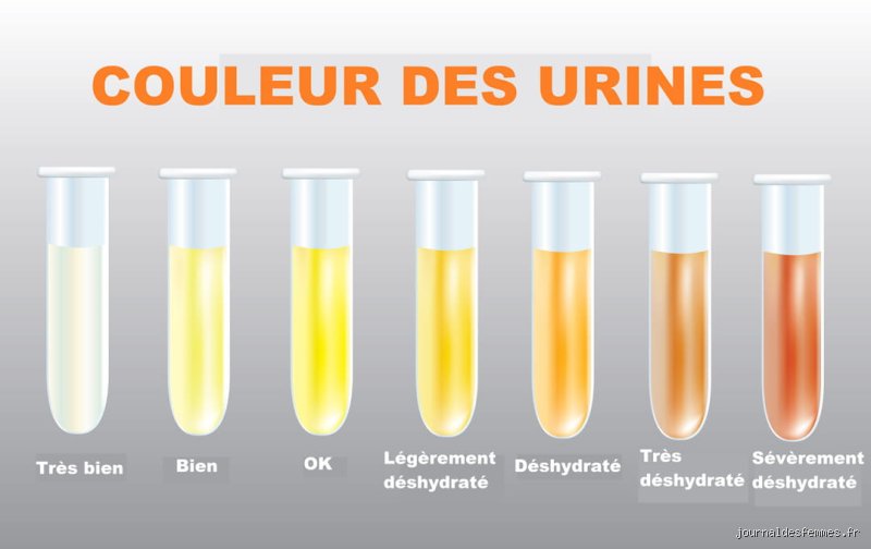 Combien de verres d’eau un diabétique doit-il boire par jour pour éviter les pics de glycémie ?