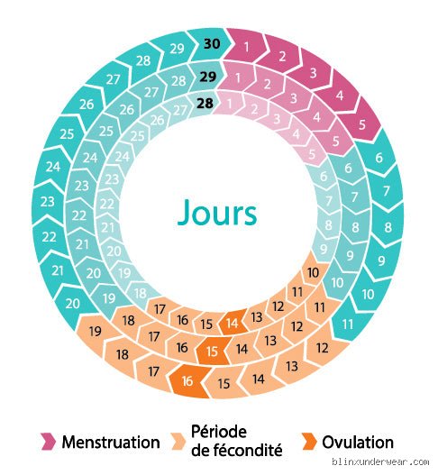 Comment compter ses règles menstruelles ? Le guide complet pour maîtriser son cycle sans se tromper