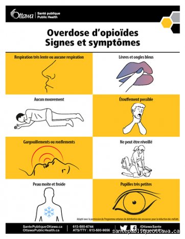 Comment débute une overdose ? Comprendre les premiers signaux d'alerte et la physiologie du basculement critique