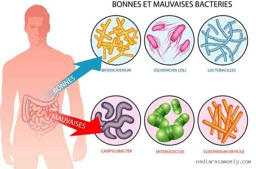 Comment éliminer les mauvaises bactéries de votre intestin et reprendre enfin le contrôle de votre santé digestive globale