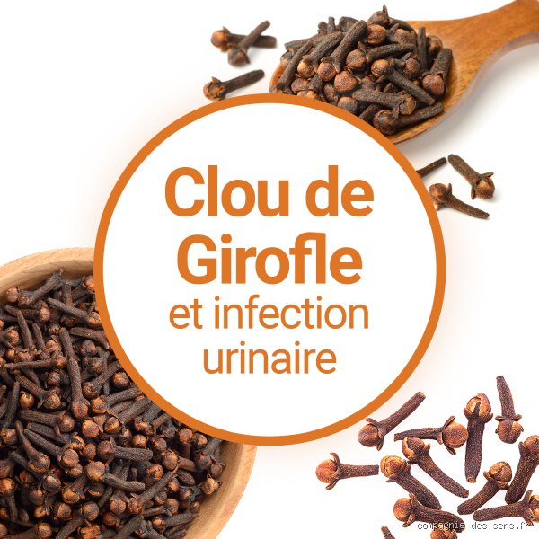 Comment faire disparaître une infection plus rapidement ?