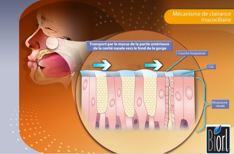 Comment faire pour arrêter de produire autant de mucus ?