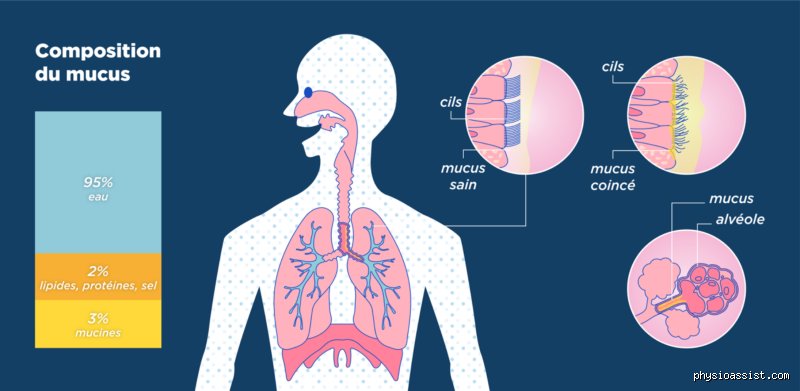 Comment faire sortir les mucosités des poumons ? Techniques efficaces et solutions médicales pour dégager vos bronches durablement
