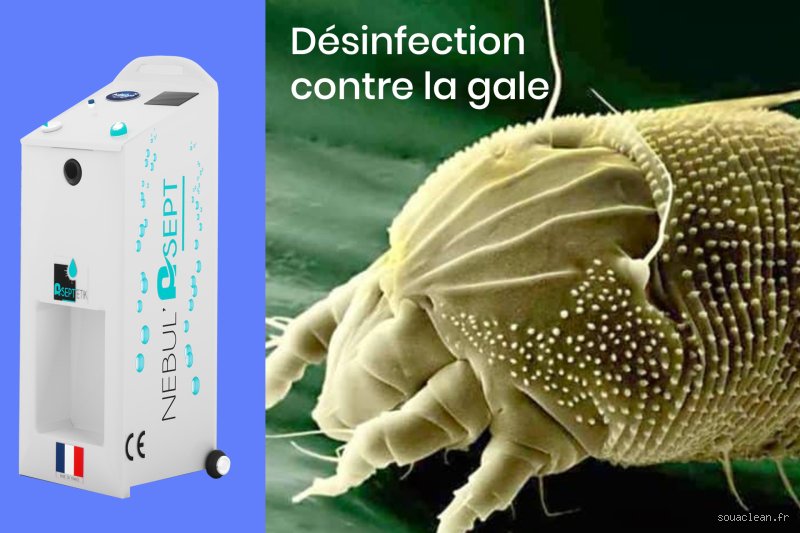 Comment nettoyer la maison quand on a la gale ?