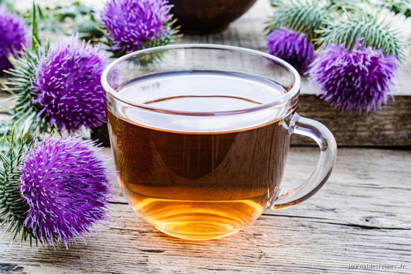 Comment nettoyer naturellement son pancréas ? Guide complet pour détoxifier cet organe de l'ombre et booster votre digestion