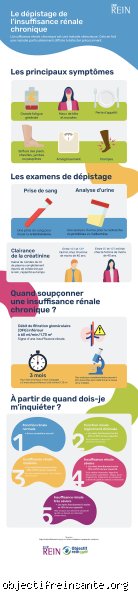 Comment peut-on dépister une maladie rénale ? Tout ce qu'il faut savoir sur les tests de détection précoce