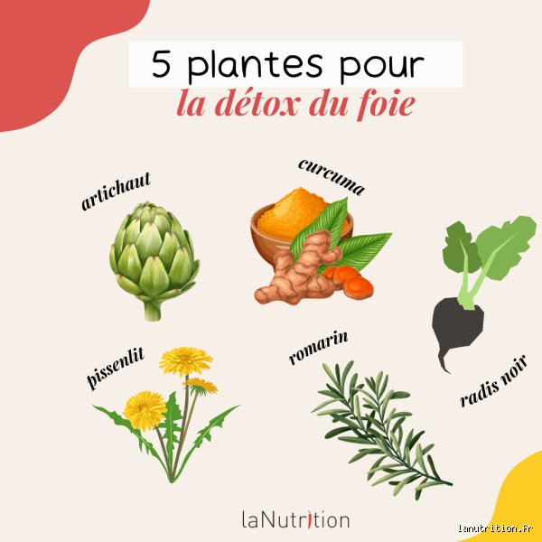 Comment puis-je détoxifier mon foie à la maison ?