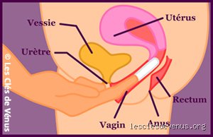 Comment puis-je pénétrer sans douleur ? Le guide complet pour une intimité sereine et sans blocages