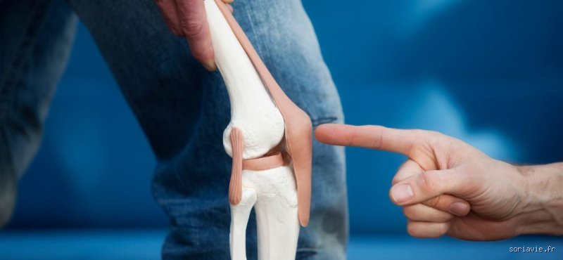 Comment puis-je reconstituer le cartilage de mon genou naturellement : les stratégies réelles pour sauver vos articulations