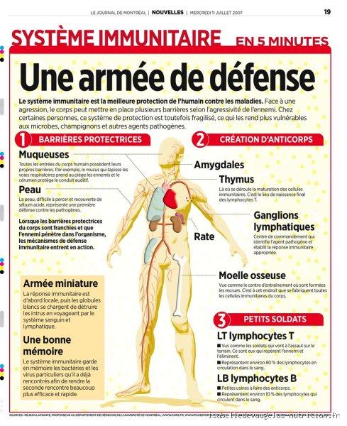 Comment puis-je renforcer mon système immunitaire très rapidement sans tomber dans les pièges du marketing bien-être ?