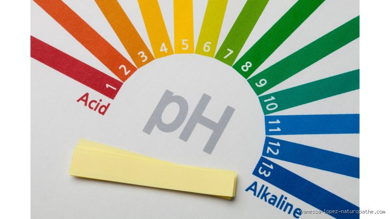 Comment puis-je tester l'acidité de mon corps à domicile sans faire d'erreur ?