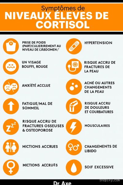 Comment puis-je vérifier mon propre taux de cortisol ? Le guide complet pour mesurer son stress sans s'arracher les cheveux