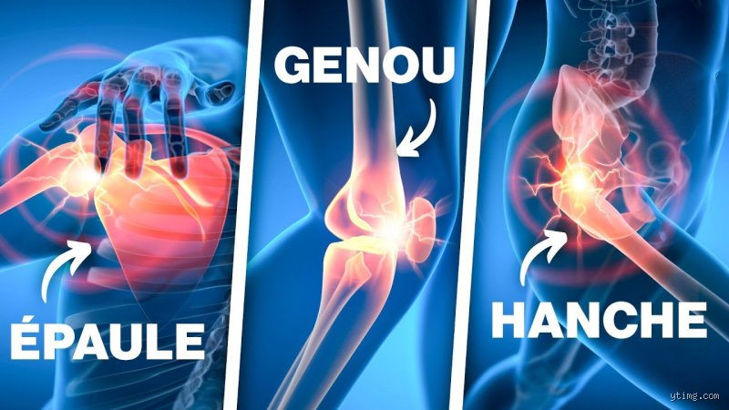 Comment rajeunir les articulations ? Stratégies biologiques et mécaniques