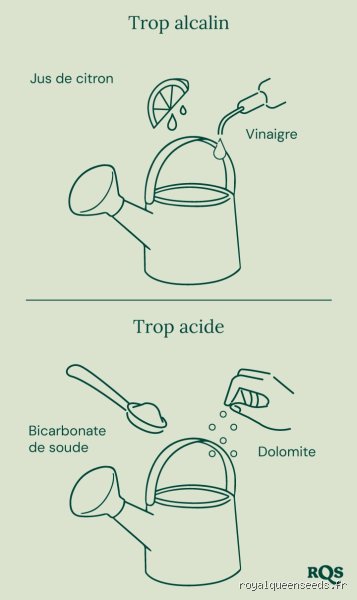 Comment rééquilibrer son pH naturellement pour retrouver une vitalité durable et une digestion sans failles