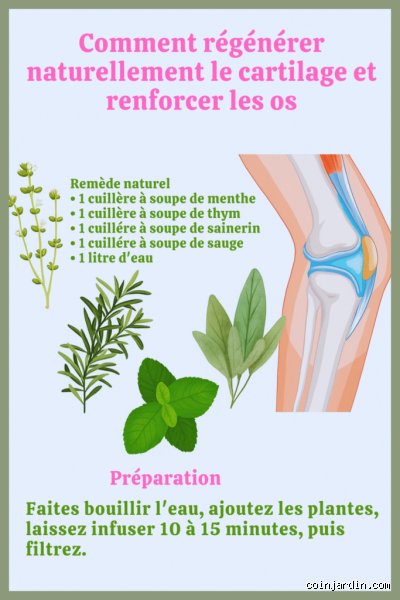 Comment refaire le cartilage naturellement ?