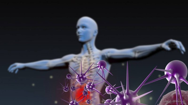 Comment renforcer le système immunitaire d'une personne âgée : le guide complet pour booster les défenses naturelles des seniors
