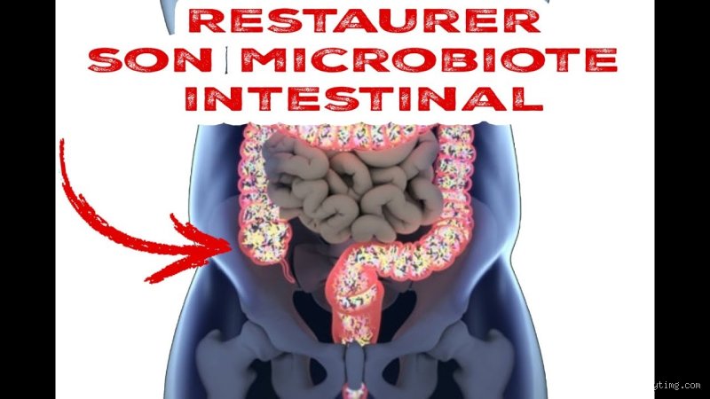 Comment restaurer un microbiote déséquilibré ?