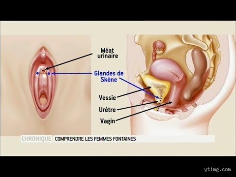 Comment savoir si on est femme fontaine ou si on fait pipi : le guide définitif pour enfin différencier l'éjaculation féminine de l'énurésie
