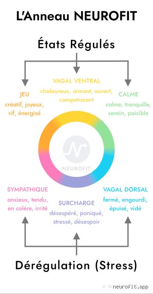 Comment savoir si quelque chose ne va pas avec mon système nerveux : les signaux d'alerte que votre corps vous envoie en silence