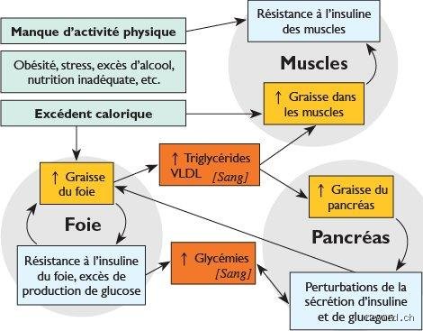 Comment se libérer du diabète type 2 ?