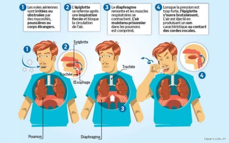 Comment stopper une toux qui ne s'arrête pas ? Guide complet pour retrouver le sommeil et apaiser vos bronches