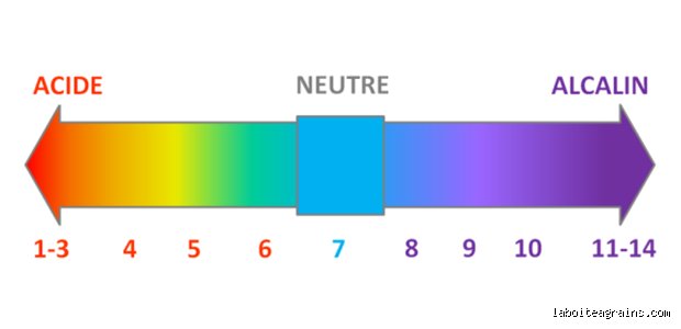 Comment vérifier naturellement son niveau de pH ? Le guide complet pour maîtriser votre équilibre acido-basique sans chimie complexe