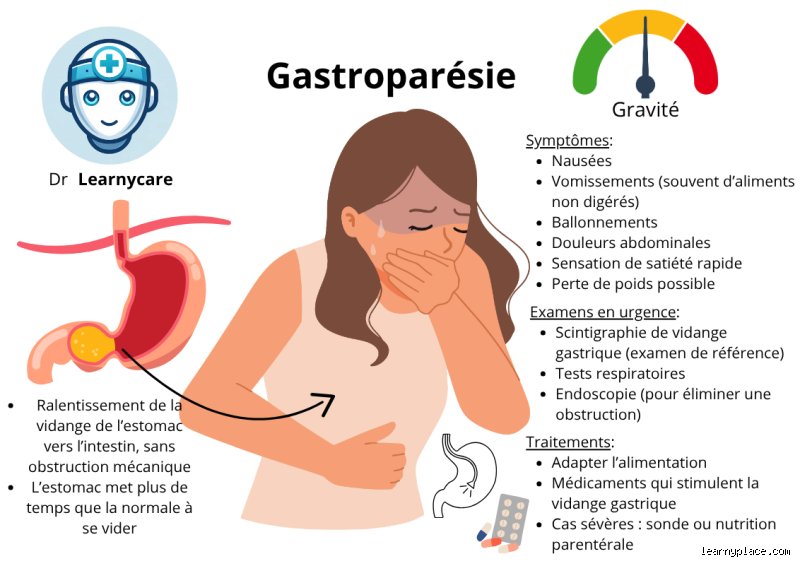 Comment vider son estomac complètement ? Le guide technique pour comprendre la vidange gastrique réelle