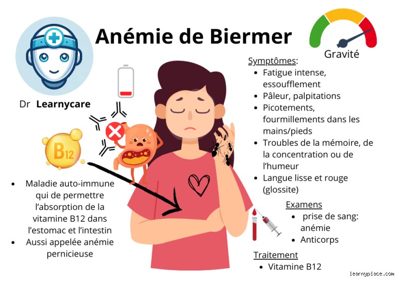 Comment vivre avec une anémie ? Le guide complet pour retrouver son énergie et dompter la fatigue chronique
