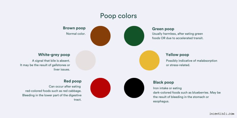 De quelle couleur sont vos selles lorsque votre foie est en phase de détoxification et comment interpréter ces signaux ?