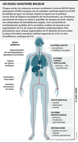 De quelles trois manières le bruit peut-il affecter les humains ? Analyse complète des impacts physiologiques, cognitifs et psychologiques