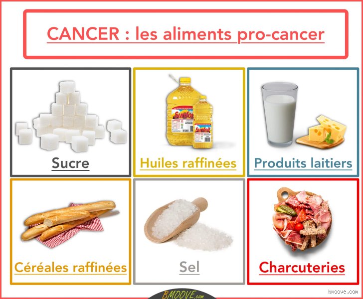 De quels aliments se nourrissent les cellules cancéreuses ? La vérité scientifique sur le carburant des tumeurs